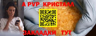 шишки Славгород